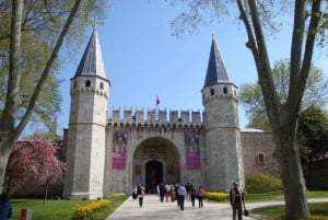 Istanbul: Full-Day Guided Tour of the Old City