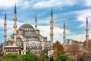 Istanbul: Full-Day Guided Tour of the Old City