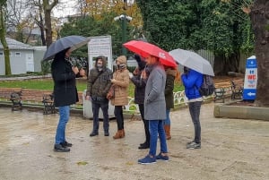 Istanbul: Full-Day Guided Tour