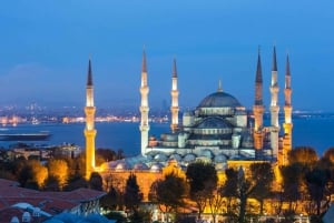 Istanbul: Full-Day Highlights Tour with Guide and Lunch