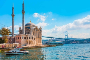 Istanbul: Full-Day Private City Highlights Guided Tour