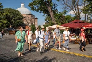 Istanbul: Full Day Private Guided Tour for Iconic Landmarks
