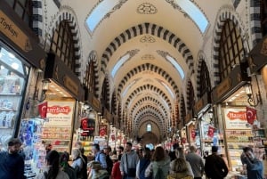 Istanbul: Full-Day Private Guided Tour