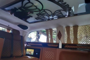 Istanbul: Full Day Private Vip Vehicle