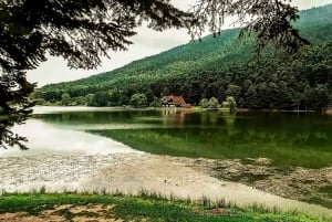 Istanbul: Full-Day Sapanca Lake and Masukiye Tour with Lunch