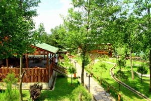 Istanbul: Full-Day Sapanca Lake and Masukiye Tour with Lunch