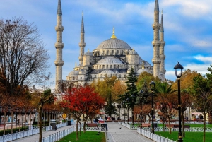 Istanbul: Full-Day City Highlights Tour with Lunch