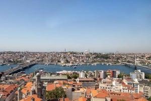 Istanbul: Galata Tower Skip-the-Line Ticket & Audio Guide
