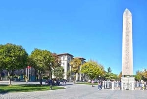 Istanbul: Guided Blue Mosque and Hagia Sophia Tour