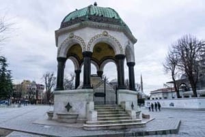 Istanbul: Guided Blue Mosque and Hagia Sophia Tour
