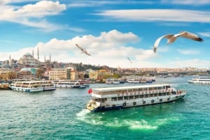 Istanbul: Guided Bosphorus Cruise & Golden Horn Bus Tour