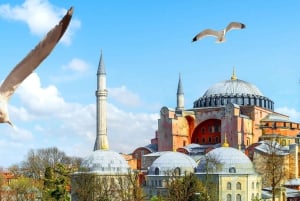 Istanbul: Hagia Sophia & Basilica Cistern Guided Tour