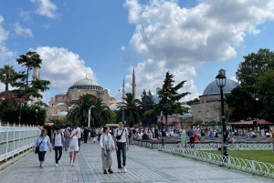 Istanbul: Hagia Sophia & Basilica Cistern Tour with Tickets