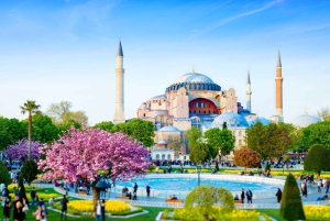 Istanbul: Hagia Sophia, Blue Mosque & Bosphorus Cruise