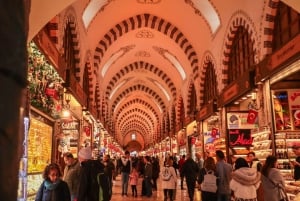 Istanbul: Hagia Sophia, Blue Mosque & Bosphorus Cruise