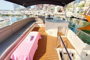 Istanbul: Hagia Sophia, Blue Mosque & Bosphorus Cruise