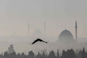 Istanbul: Hagia Sophia, Blue Mosque, Cistern & Bazaar Tour