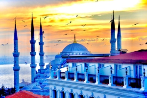 Istanbul: Hagia Sophia & Blue Mosque Entry Tickets