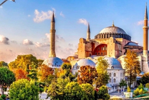 Istanbul: Hagia Sophia & Blue Mosque Entry Tickets