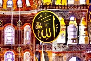 Istanbul: Hagia Sophia & Blue Mosque Entry Tickets