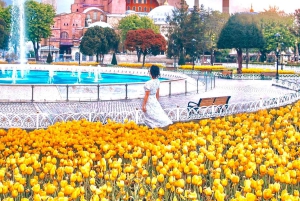 Istanbul: Hagia Sophia & Blue Mosque Entry Tickets