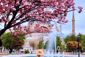 Istanbul: Hagia Sophia & Blue Mosque Entry Tickets