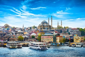 Istanbul: Hagia Sophia & Blue Mosque Entry Tickets