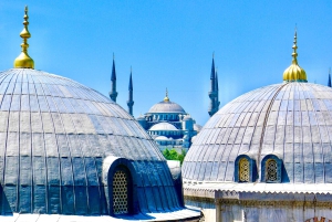 Istanbul: Hagia Sophia & Blue Mosque Entry Tickets