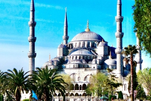 Istanbul: Hagia Sophia & Blue Mosque Entry Tickets