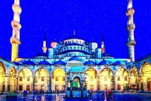 Istanbul: Hagia Sophia & Blue Mosque Entry Tickets