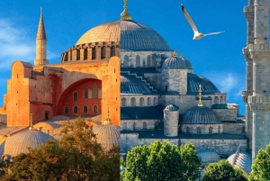 Istanbul: Hagia Sophia & Blue Mosque Entry Tickets