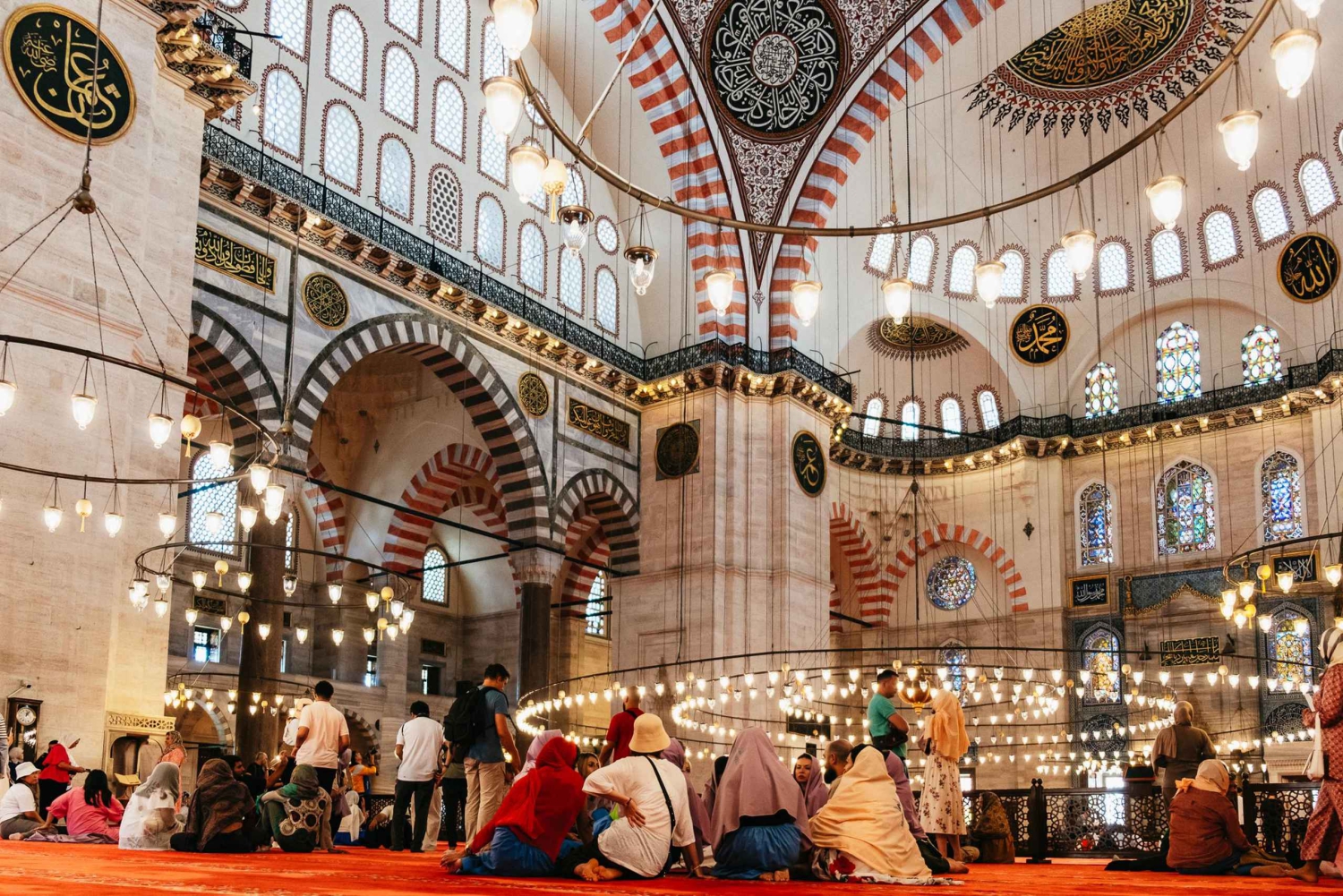 Istanbul: Hagia Sophia, Blue Mosque, Suleymaniye Mosque Tour