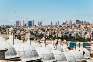 Istanbul: Hagia Sophia, Blue Mosque, Suleymaniye Mosque Tour