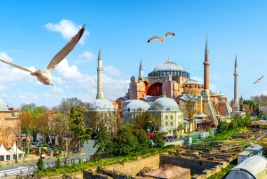 Istanbul: Hagia Sophia Entry Ticket with Audio Guide