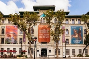 Istanbul: Hagia Sophia Skip-the-Line Ticket & Museum Option