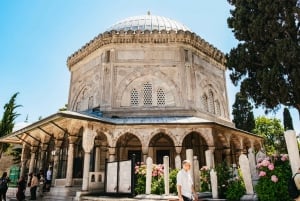 Istanbul: Hagia Sophia, Blue Mosque, Suleymaniye Mosque Tour