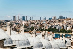 Istanbul: Hagia Sophia, Blue Mosque, Suleymaniye Mosque Tour