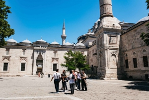Istanbul: Hagia Sophia, Blue Mosque, Suleymaniye Mosque Tour