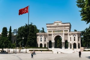 Istanbul: Hagia Sophia, Blue Mosque, Suleymaniye Mosque Tour