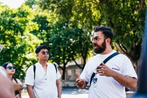 Istanbul: Hagia Sophia, Blue Mosque, Suleymaniye Mosque Tour