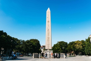 Istanbul: Hagia Sophia, Blue Mosque, Suleymaniye Mosque Tour