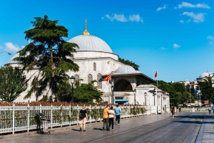 Istanbul: Hagia Sophia, Blue Mosque, Suleymaniye Mosque Tour