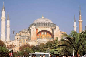Istanbul: Half-Day Morning Hagia Sophia & Blue Mosque Tour