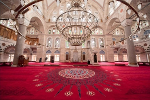 Istanbul: Half-Day Morning Hagia Sophia & Blue Mosque Tour