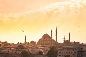 Istanbul Highlight Shore Excursion: City of Treasures Tour