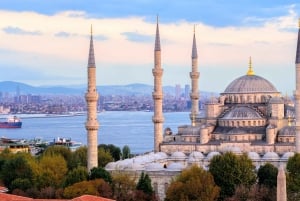 Istanbul Highlight Shore Excursion: City of Treasures Tour
