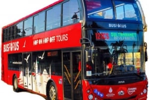 Istanbul Hop On Hop Off Bus\24 Hours Ticket