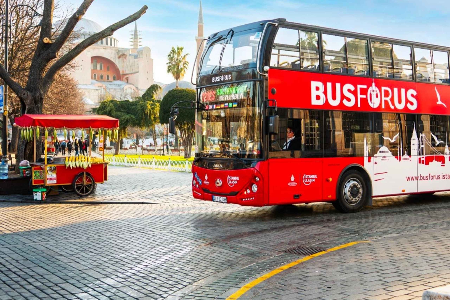 Istanbul: Hop-On Hop-Off Bus Ticket