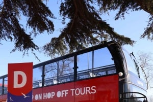 Istanbul: Hop-On Hop-Off Bus Ticket