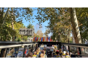 Istanbul: Hop-On Hop-Off Sightseeing Bus with Audio Guide